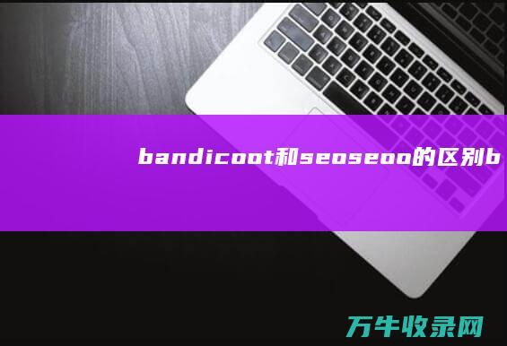 bandicoot和seoseoo的区别 (bandicam是什么软件)